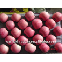Yantai Fuji Manzanas (blush capa 100-113-125 20 kg)